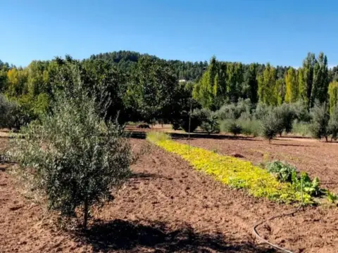 Casa rústica en Torre del Compte