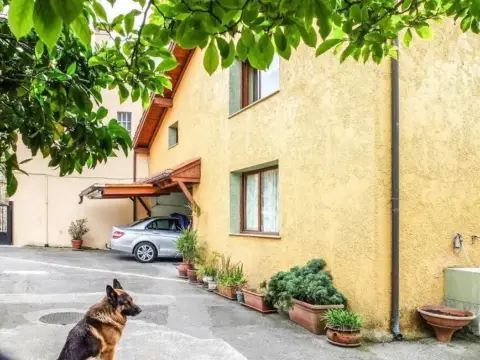 Chalet en calle As-379, 36