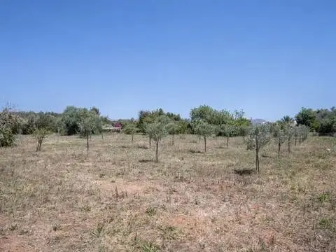 Terreno en Pollença