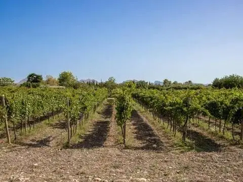 Chalet en Marina Manresa-Mal Pas-Bonaire