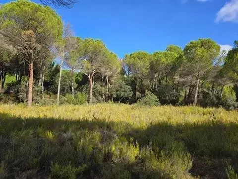 Terreno en Pedanías y Barrios Rurales