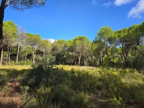 Terreno en Pedanías y Barrios Rurales