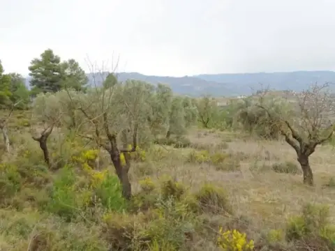 Casa rústica en Lledo