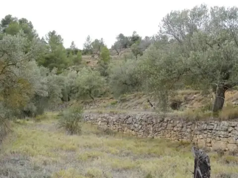 Casa rústica en Lledo
