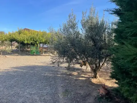 Chalet en Carrer Algerri