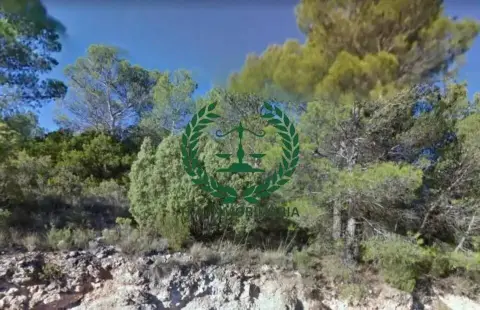 Terreno en Albalate de Zorita