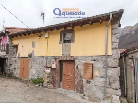 Casa rústica en El Campo (Campomanes)