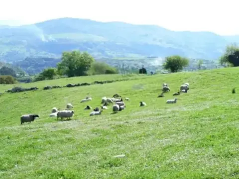 Casa rústica en Corvera de Toranzo