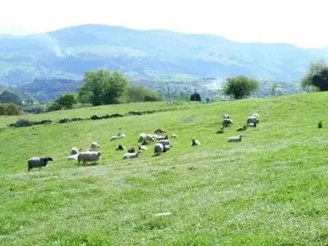 Casa rústica en San Vicente de Toranzo