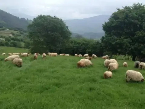Casa rústica en Corvera de Toranzo
