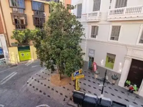 Piso en Centro