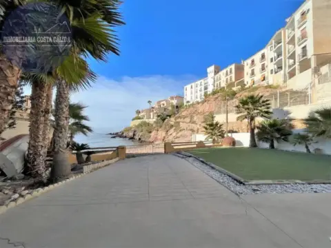 Piso – Águilas