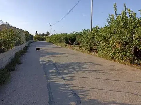 Terreno en Carril de las Palmeras