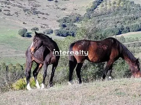 Chalet en Jimena de la Frontera