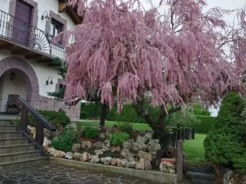 Chalet en Ulzama - Ultzama