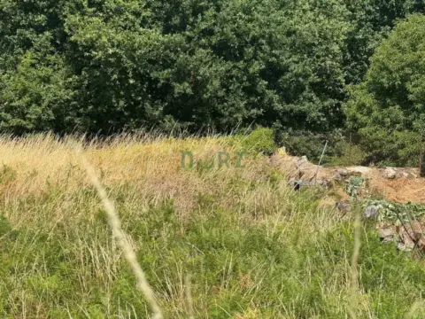 Terreno en A Granxa (Pereiro de Aguiar)