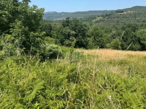 Terreno en A Granxa (Pereiro de Aguiar)