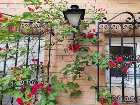 Casa adosada en calle de los Pájaros