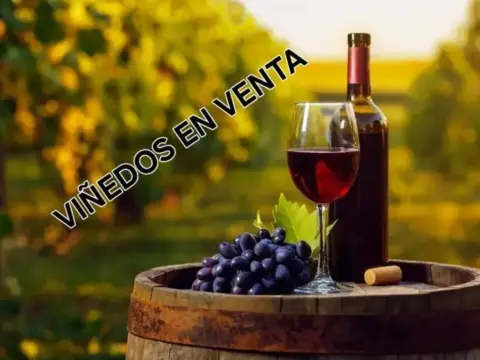 Terreno en Barranco de La Madera