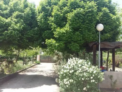 Casa en Argamasilla de Calatrava