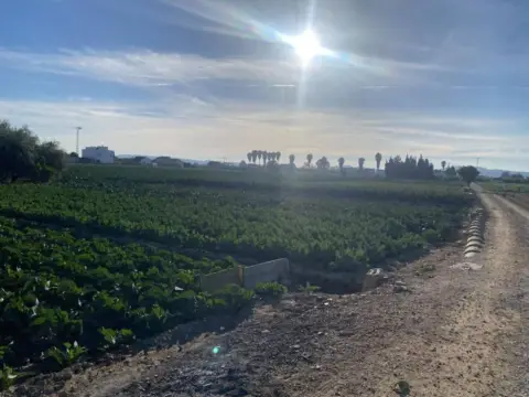 Terreno en Orihuela Pedanías