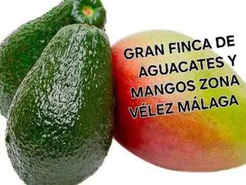 Terreno en Hispanidad-Vivar Téllez-Nuevas Urbanizaciones