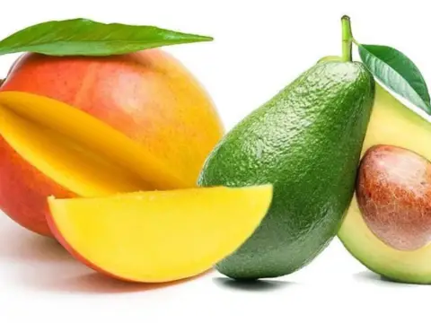 Terreno en Hispanidad-Vivar Téllez-Nuevas Urbanizaciones