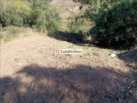 Terreno en Carrer de l'Alzina