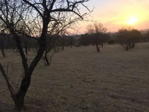 Terreno en Castuera