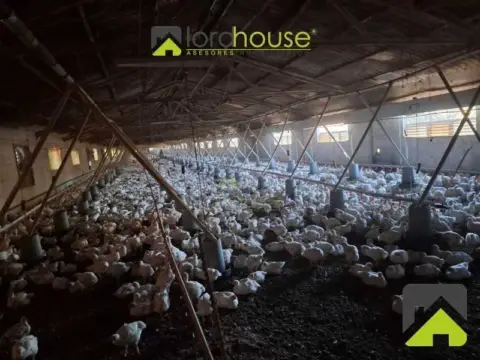 Nave industrial en Lorca