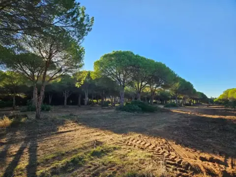 Terreno en Chiclana de la Frontera