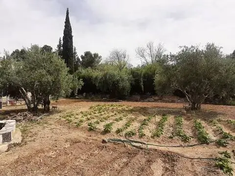 Terreno en Puente Tablas-Puente Nuevo-Cerro Molina