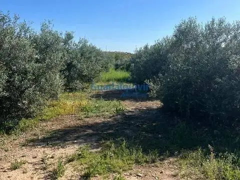 Terreno en La Hacienda-Nueva Andalucía