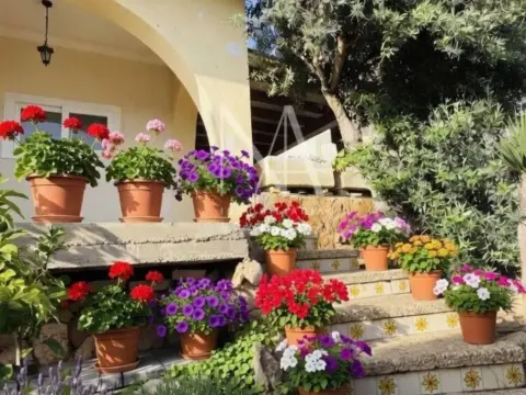 Casa en S'Arenal