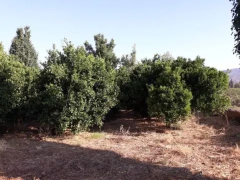 Terreno en Alhama de Murcia