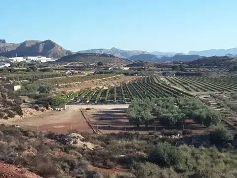 Terreno en Agost