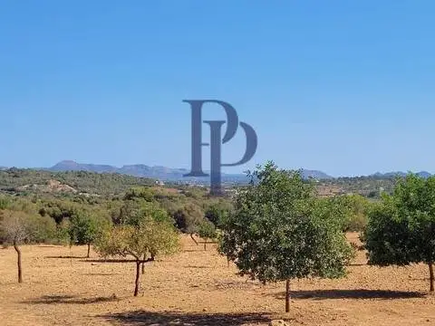 Terreno en Manacor