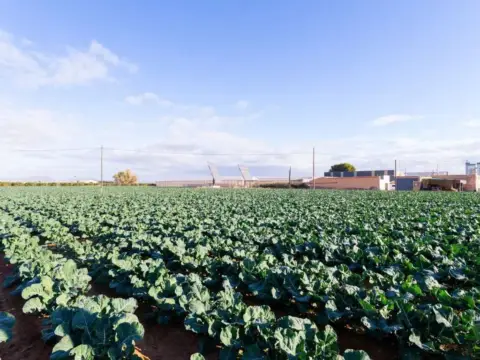 Casa rústica en Cartagena