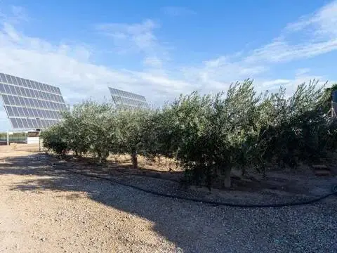 Casa rústica en Pozo Estrecho