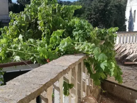Casa adosada en El Pinar