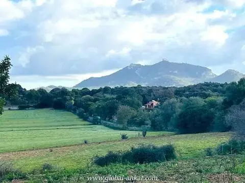 Terreno en Cala Ferrera