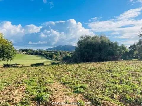 Terreno en Cala Ferrera