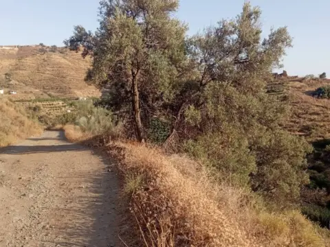Terreno en calle Camino del Rio de Gui