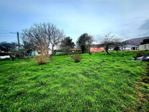 Terreno en Barcia