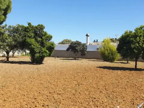 Terreno en Chiclana de la Frontera