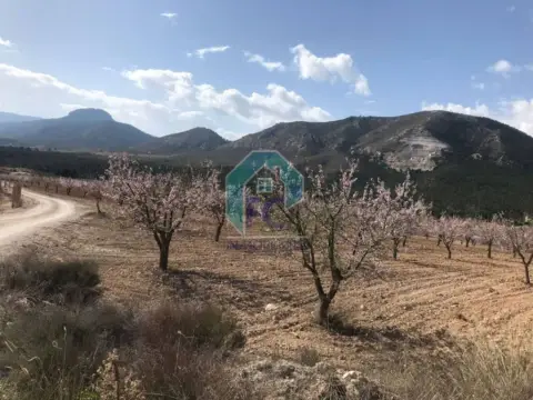 Terreno en Lorca