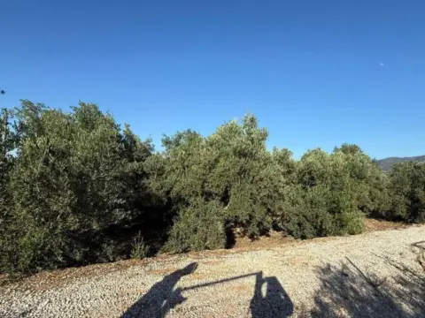 Terreno en Alhama de Murcia