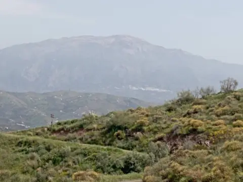 Terreno en calle de Patarra