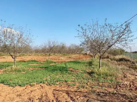 Terreno en El Palmero-San Isidro-La Magdalena