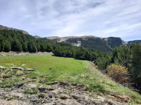 3-bedroom house for sale in Canillo · 13 of 16